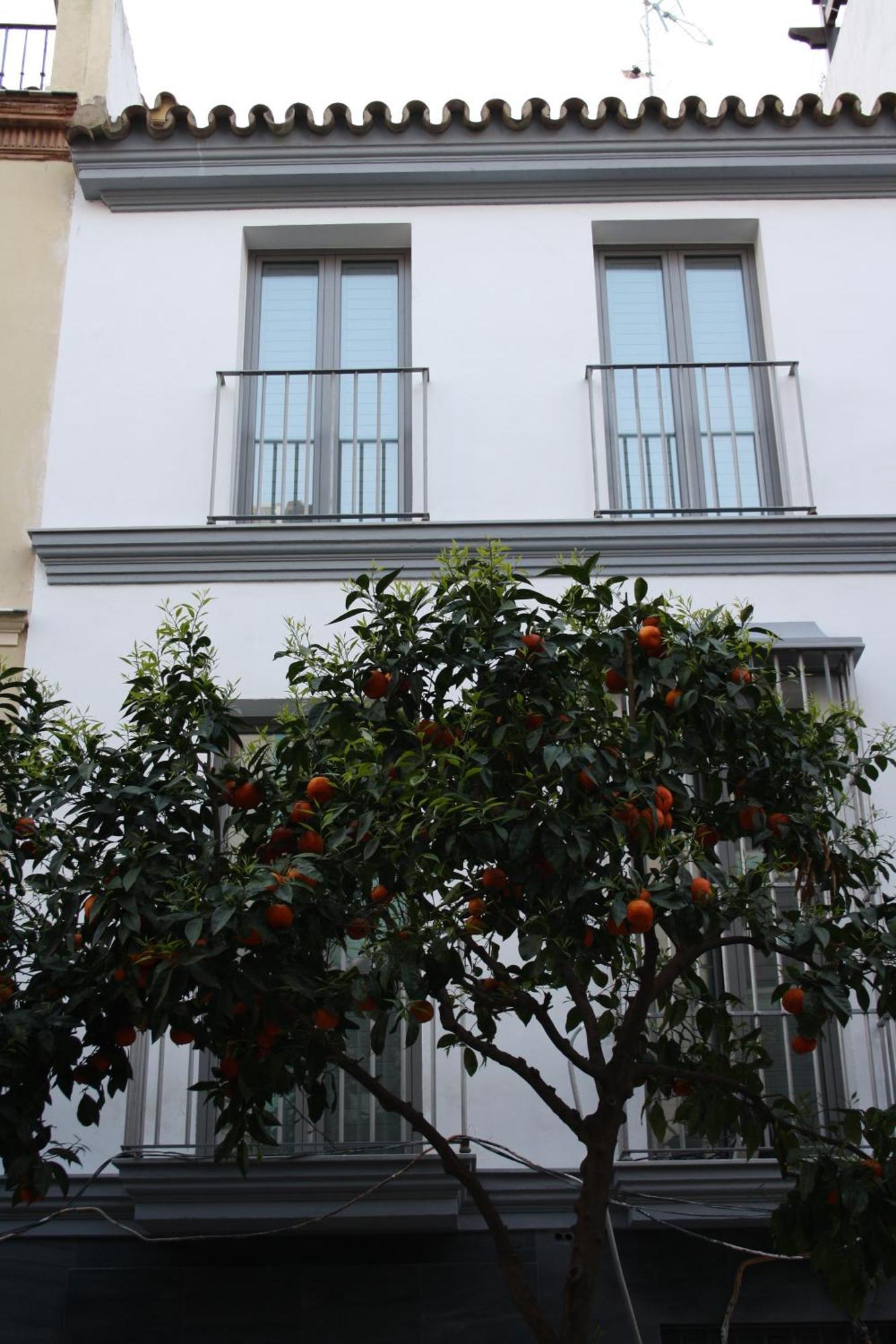 Appartement Ritual - Malaver 23 (adults Only) *